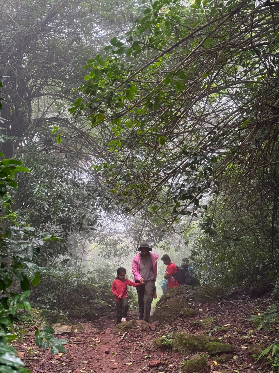 Chittamgondi Trek — photo 7