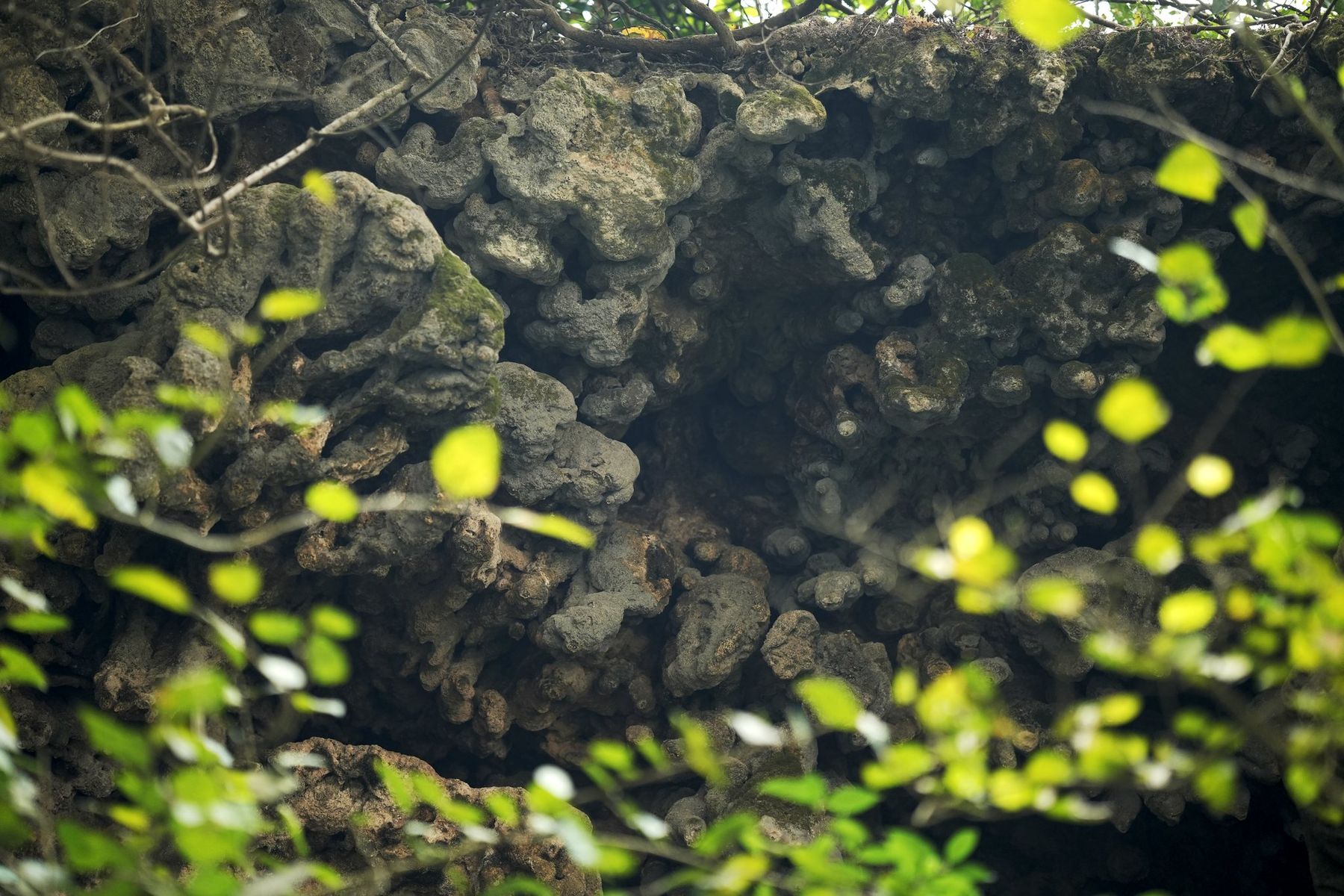 Gosthani Caving Experience — photo 8