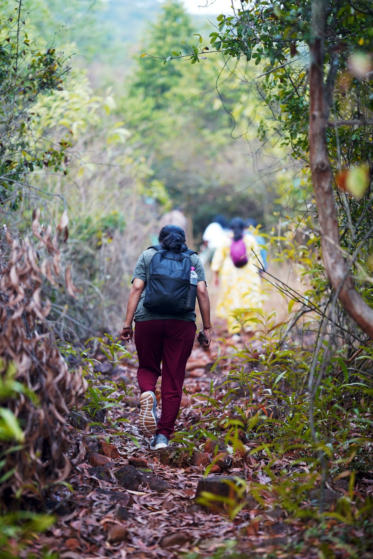 Kambalakonda Nature Trails — photo 5