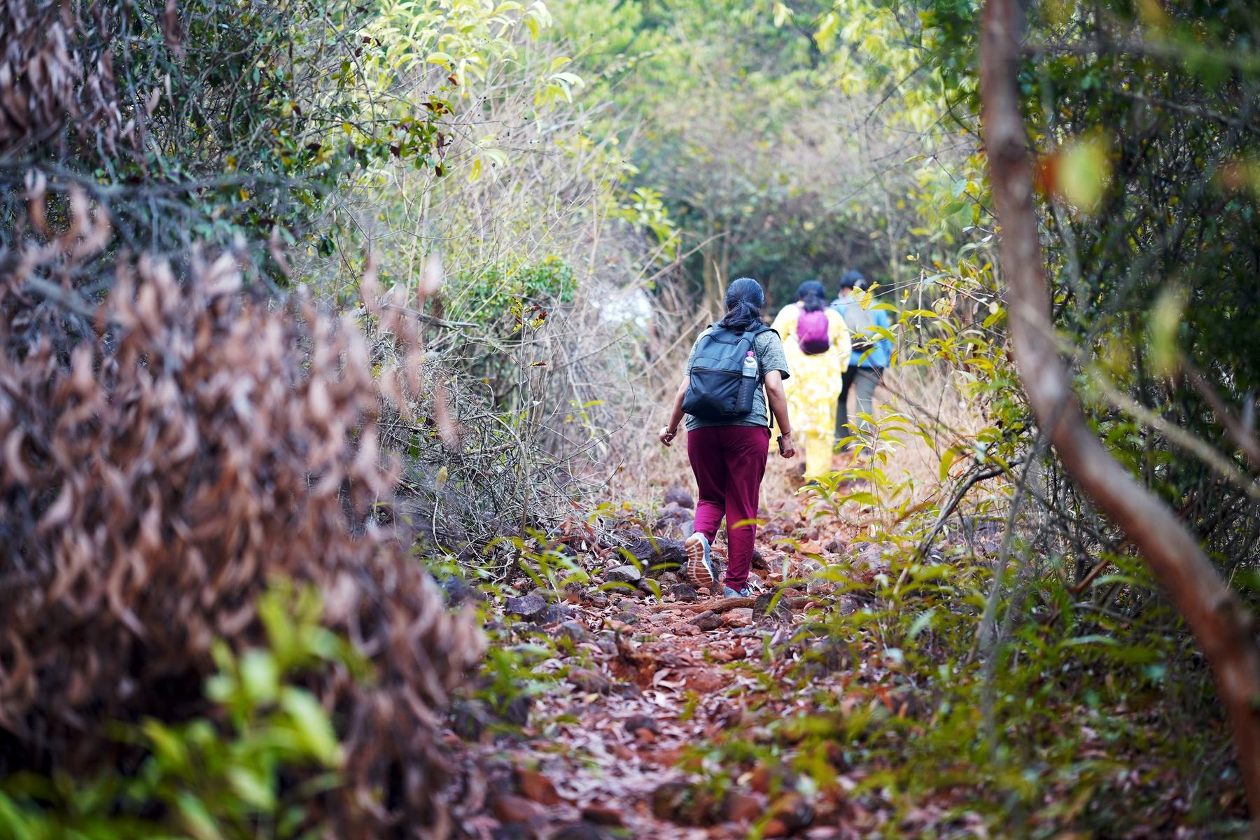 Kambalakonda Nature Trails