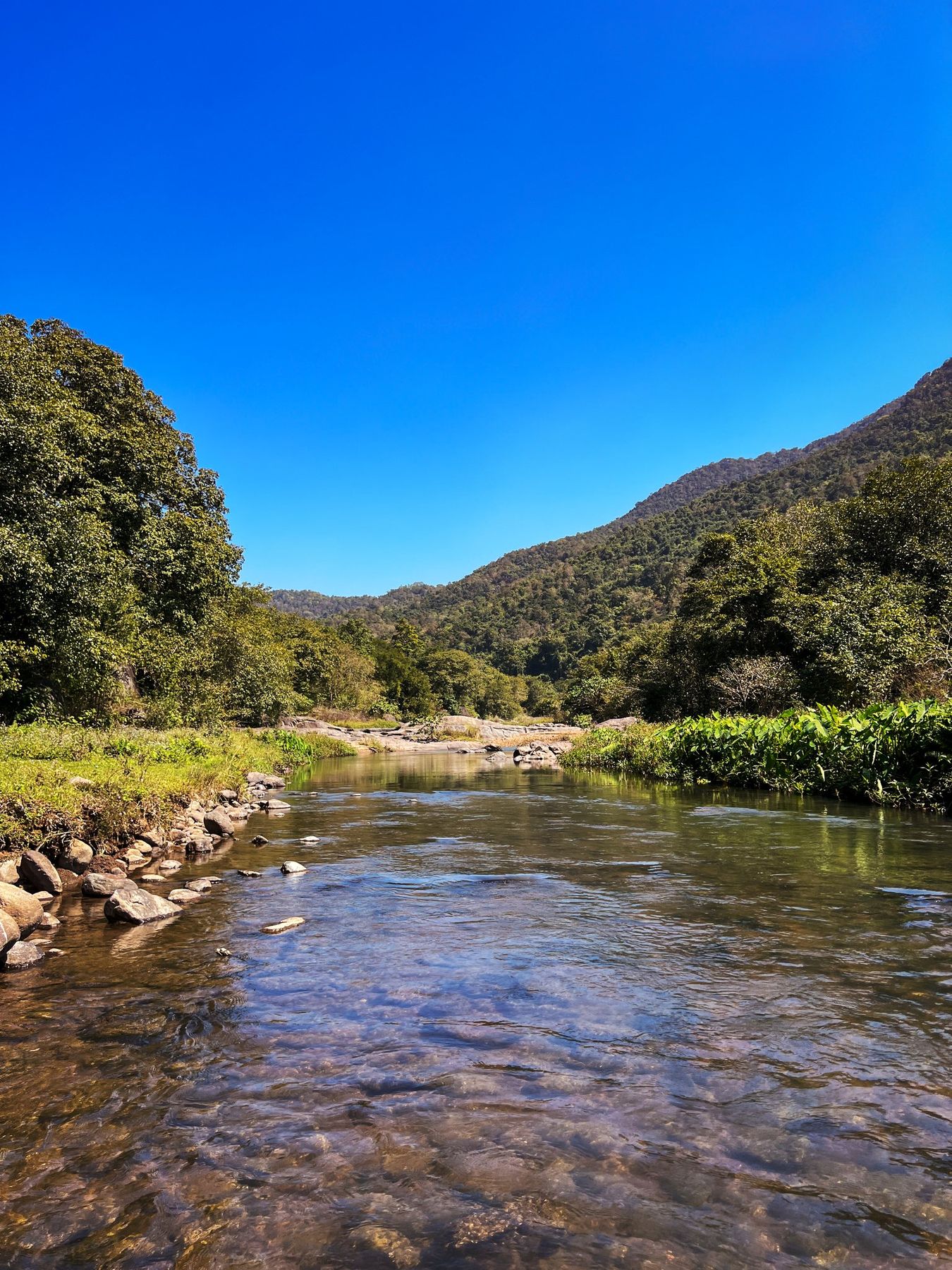 Sharada River Trail — photo 10