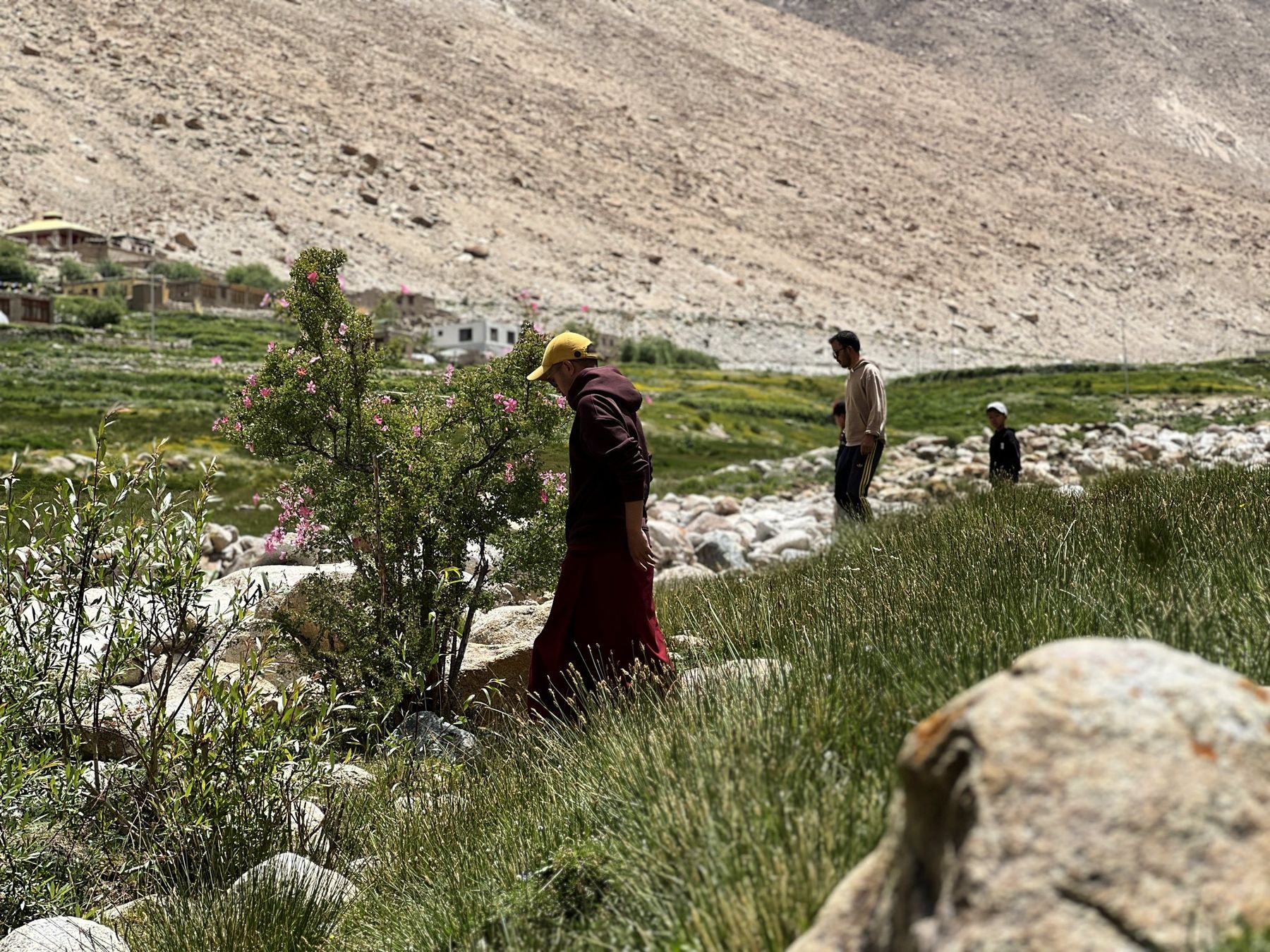 Slow Living in Ladakh — photo 8