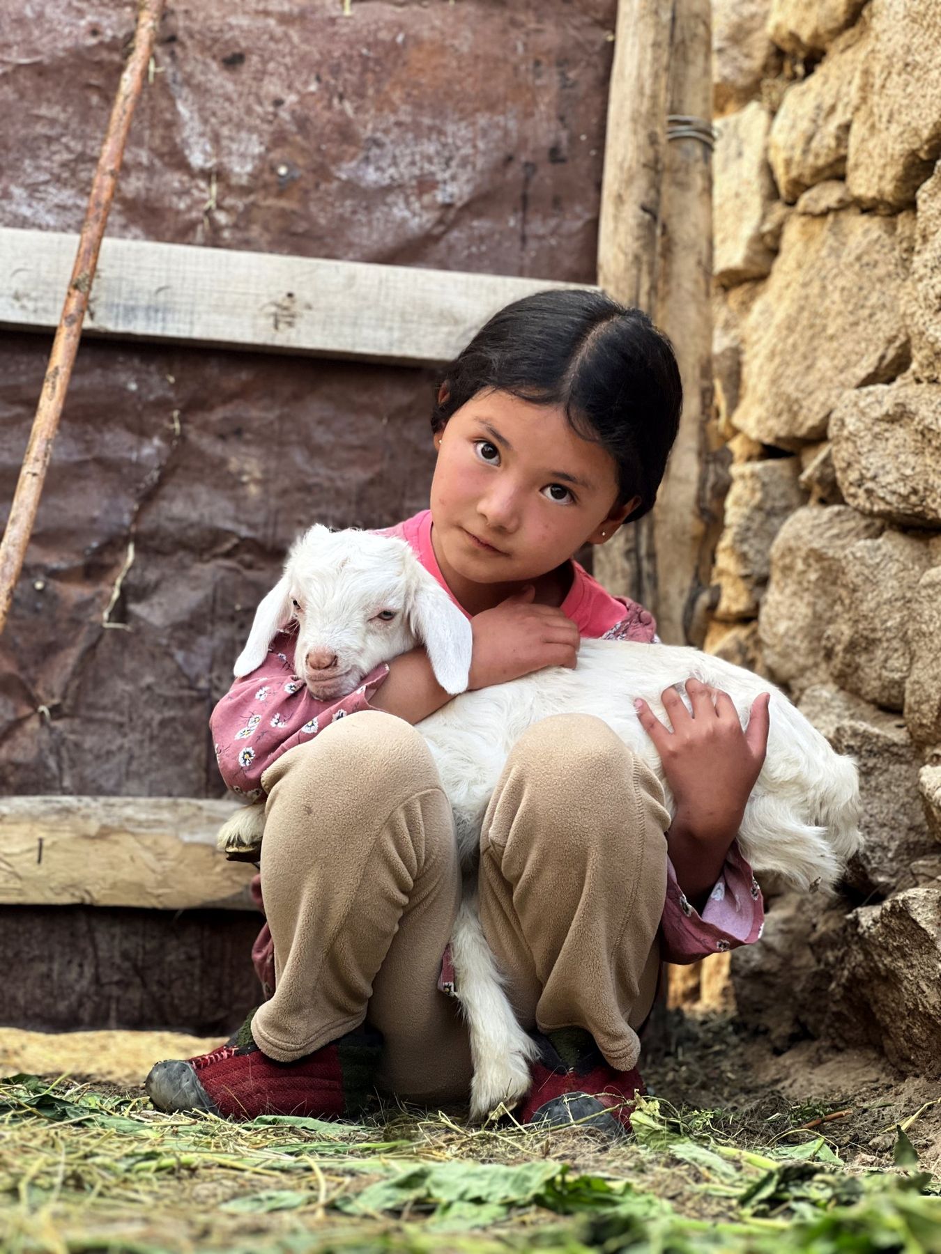 Slow Living in Ladakh — photo 9