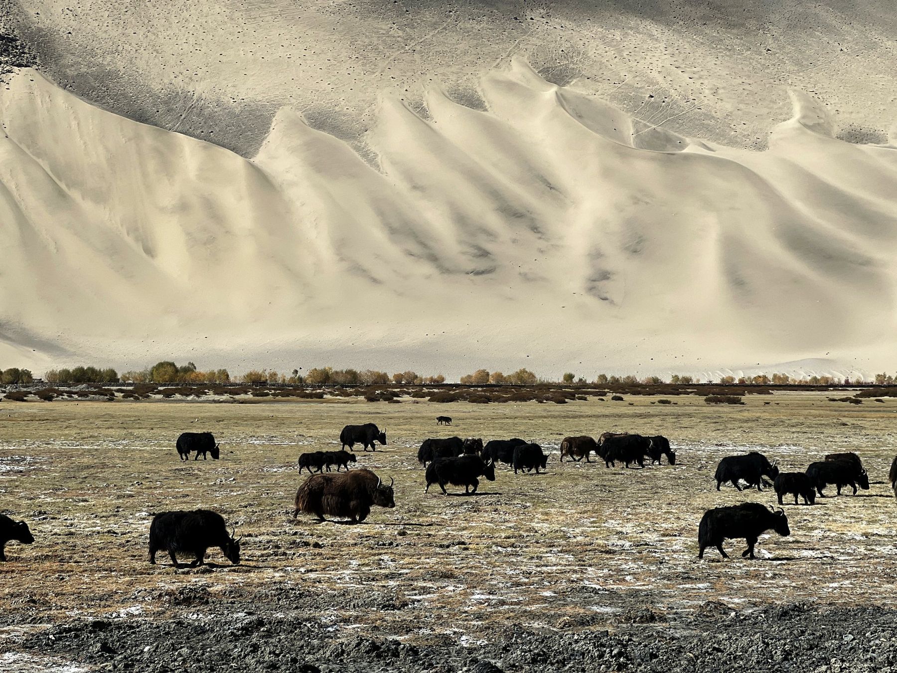 Soul Ride Ladakh — photo 7
