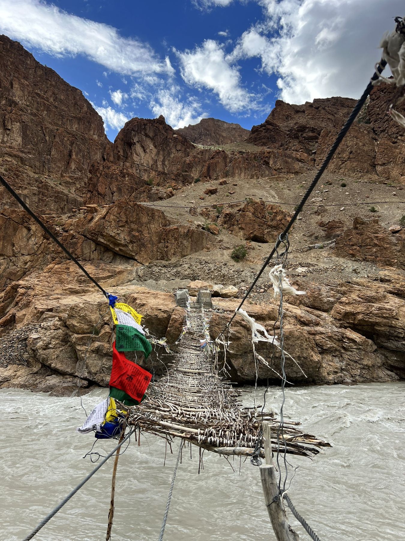 The twig bridge